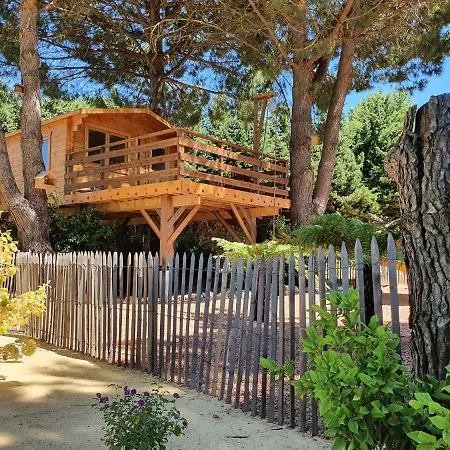 La Palmeraie Salles-dʼAude