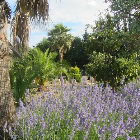 La Palmeraie