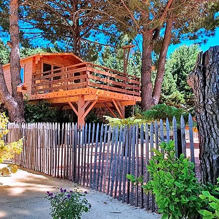 Bed & Breakfast La Palmeraie