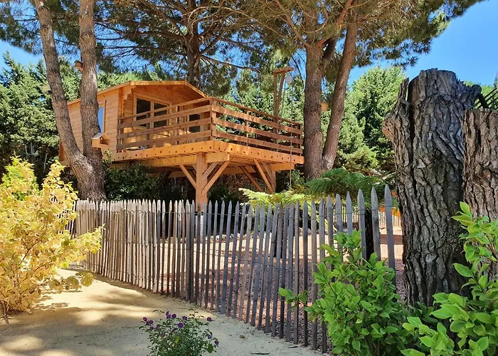 La Palmeraie Salles-dʼAude